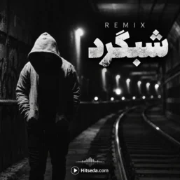 ریمیکس شبگرد تتلو ناجی ویناک