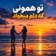 دانلود ریمیکس تو همونی که دلم میخواد
