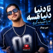 کاور آهنگ تا دنیا دنیا هسه ته پا همیشه گیره از امیر چیتگر