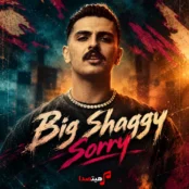 کاور آهنگ جفتمون به هم بد دچاریم ساری Sorry از بیگ شگی
