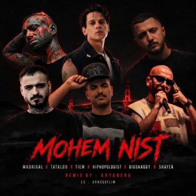 تصویر آلبوم دانلود ریمیکس مهم نیست آریان ای آر جی، تتلو و تی ام