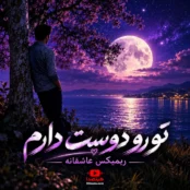 ریمیکس عاشقانه تو رو دوست دارم با علیرضا قربانی، ویگن و شجریان