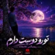 ریمیکس عاشقانه تو رو دوست دارم با علیرضا قربانی، ویگن و شجریان