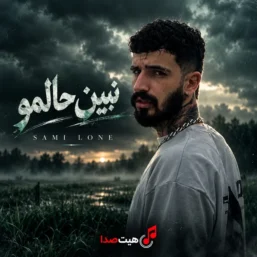 کاور آهنگ نبین حالمو از سمی لون