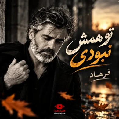 تصویر آلبوم آهنگ فرهاد تو همش نبودی تو این روزا پیشم نموندی